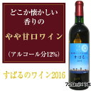 【ふるさと納税】No.036 すばるのワイン2016　720ml×1本 ／ お酒 平成28年度全国果樹・技術経営コンクール農林水産大臣賞受賞 アルコール 送料無料 大阪府