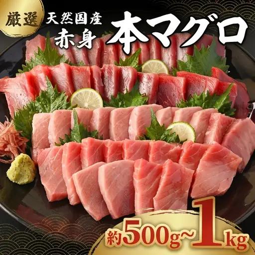 【容量選べる】 厳選 天然本マグロ 赤身 500g 1kg 以上 国産 マグロ 鮮魚 刺身 刺し身 漬け丼 海鮮丼 おかず 魚介類 海鮮 海産物 まぐろ 本まぐろ 鮪 ブロック 500グラム 惣菜 冷凍 スピード発送 美阿丸 高知県 室戸市