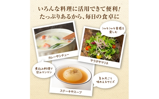 三笠aroundたまねぎＬサイズ10kg《11月下旬頃より発送予定》【3300402】