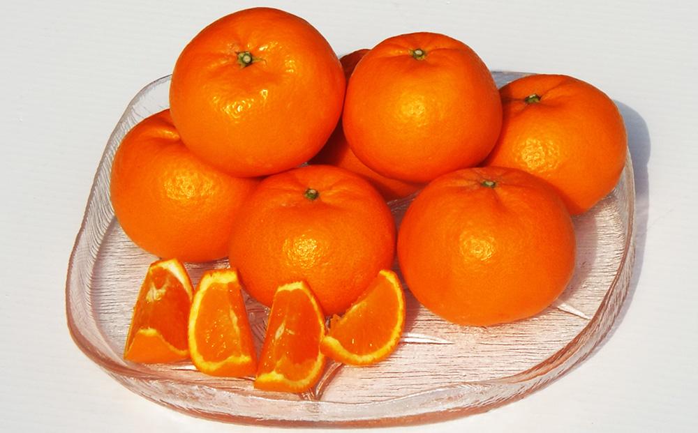 はれひめ「みかんの甘み」と「オレンジの香り」の新品種！4kg フルーツ お取り寄せ 産地直送【みかん 柑橘 果物 フルーツ 人気 おすすめ 瀬戸内 広島県  尾道市】