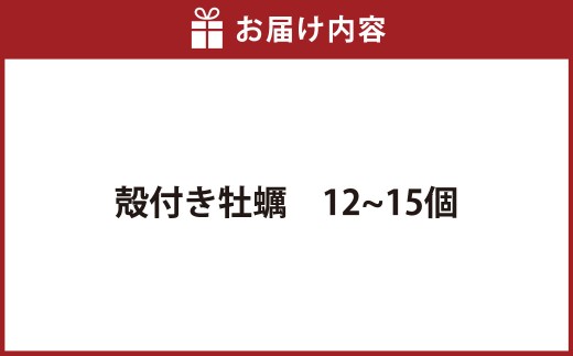 プレミアムオイスター 殻付き 牡蠣 12～15個入