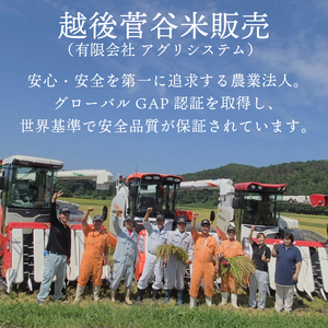 【数量限定】 令和7年産 コシヒカリ 玄米 精米 特別栽培 10㎏  echigosugatani002
