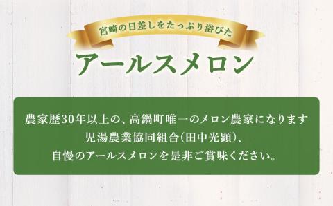 【5月31日迄受付】〈アールスメロン2L以上 2玉(田中光顕)〉2023年6月上旬～6月下旬迄に順次出荷 メロン 果物 くだもの フルーツ 宮崎県 高鍋町