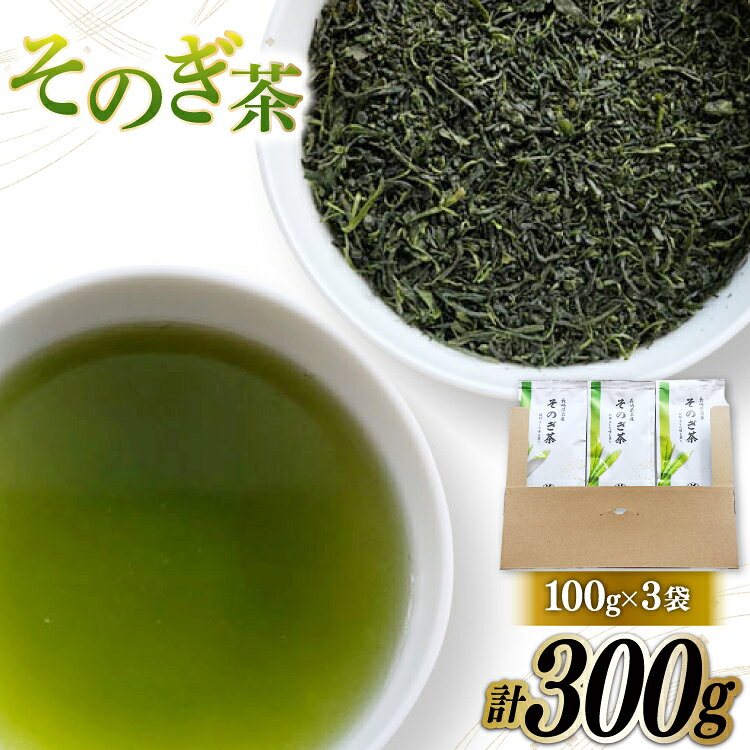 【ふるさと納税】そのぎ茶 緑茶 そのぎ茶 100g 3袋 計300g [岡田商会 長崎県 東彼杵町 hs42bag210004] 茶葉 お茶 りょくちゃ