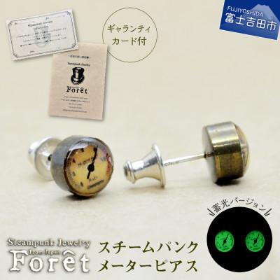 ふるさと納税 富士吉田市 スチームパンク　メーターピアス 　SV925ポスト&amp;キャッチ