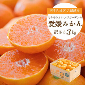 【2025年11月より順次発送】酸味と甘みのバランス◎愛媛みかん3kg【訳あり】【A25-164】【1509982】