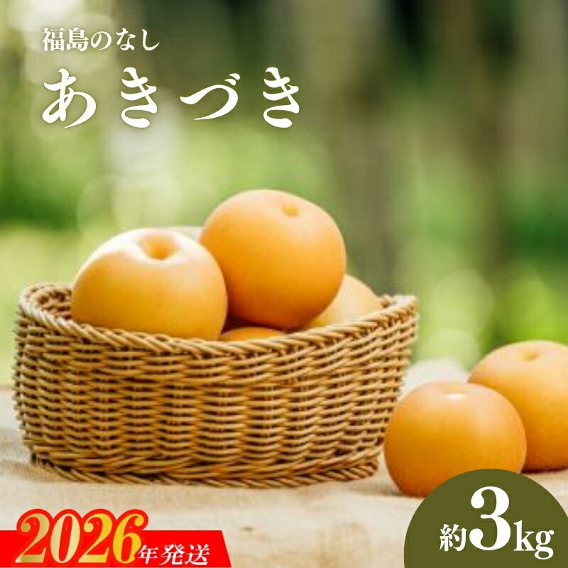 【ふるさと納税】No.2782旬の特選梨 あきづき3kg【2026年発送　先行予約】