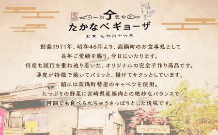 ＜たかなべギョーザのてげがっつきセット＞翌月末迄に順次出荷 2種 冷凍餃子 焼売 餃子 ぎょうざ ギョーザ しゅうまい シュウマイ【TVで話題沸騰！】【c1264_tk】