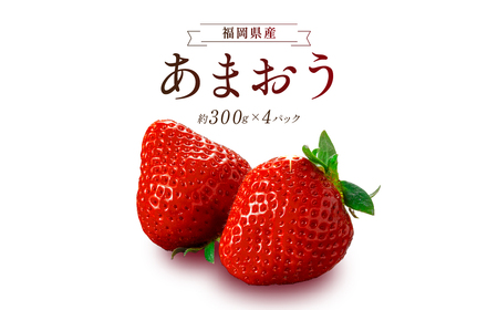 【2027年1月より順次発送】エコファーマー あまおう 約300g×4パック 計1.2kg_いちご あまおう 約300g×4パック 計1200g 甘い 美味しい 果肉 果物 スイーツ スムージー ジャム パン ヨーグルト エコファーマー 安心 冷蔵 冷凍保存 福岡県 久留米市 お取り寄せ ギフト お祝い 送料無料 〔Fi040〕