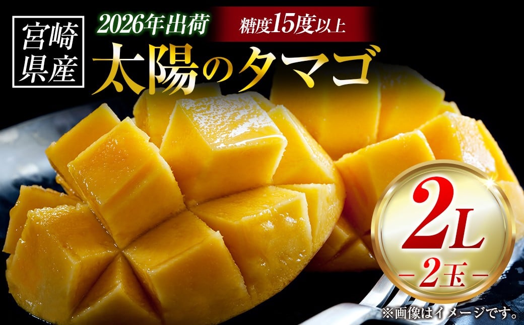 
            【2026年発送 先行予約】完熟マンゴー「太陽のタマゴ」 2L×2玉（フルーツ マンゴー 完熟マンゴー アップルマンゴー 果物 くだもの 先行受付 2026 令和8年 宮崎）
          