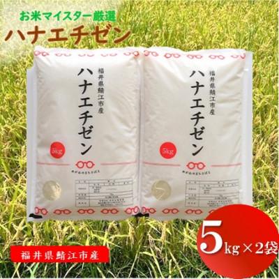 ふるさと納税 鯖江市 鯖江市産【令和7年産】ハナエチゼン 10kg