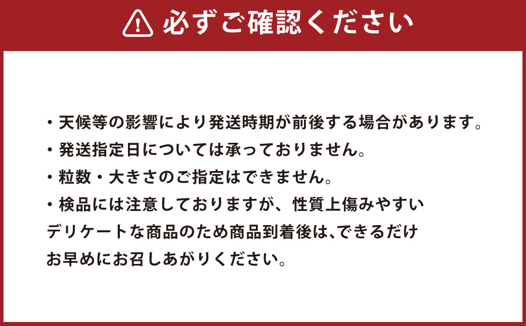 林果樹園 徳之島産 タンカン【ご家庭用】混合サイズ 10kg