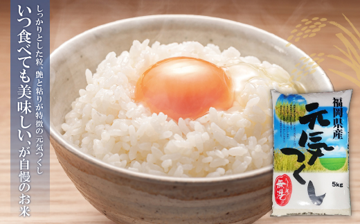 無洗米 福岡ブランド米3品種セット(各5kg) 無洗米 むせんまい 米 コメ 5kg×3 品種 いろいろ 3種 キャンプ 研がなくていい TWR 15kg 箱入り 手間なし カンタン 簡単 福岡 夢つ