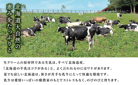 【ルタオ】ドゥーブルフロマージュ 5個セット