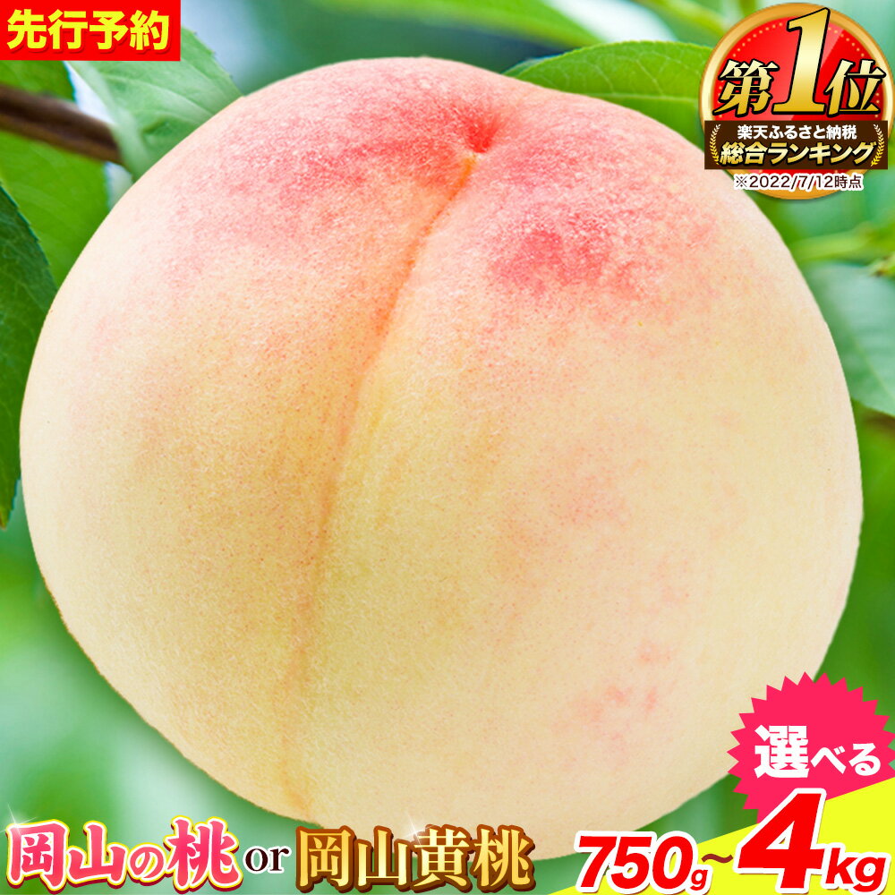 岡山の桃 約1.3kg 5～7玉前後 ご家庭用 訳あり