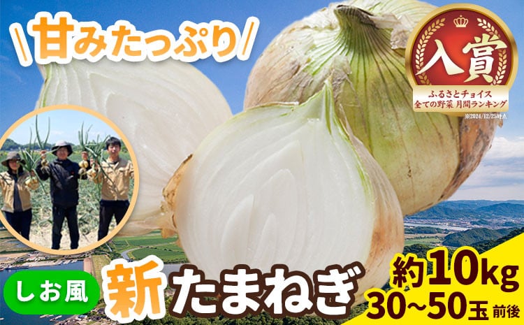 
            新玉ねぎ【2026年先行予約】 しお風新たまねぎ 約10kg 《5月中旬-6月上旬頃出荷》 玉ねぎ 新たまねぎ 玉葱 たまねぎ 新玉 野菜 青果物 岡山県 笠岡市 10000円以下 10000円以内 
          