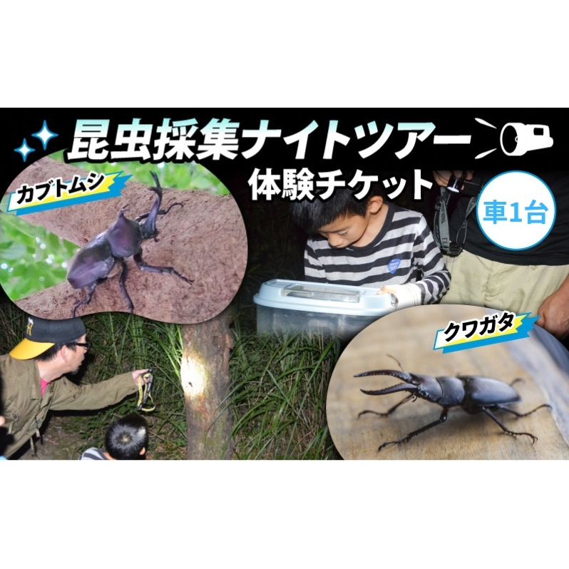 【優先貸切】NHKテレビで取り上げられました!＜先行予約＞【体験期間 2026年6月～8月中旬】虫捕り名人と行く「昆虫採集ツアー」ご利用券(グループ貸切用・車1台) 昆虫 カブトムシ クワガタ アウト