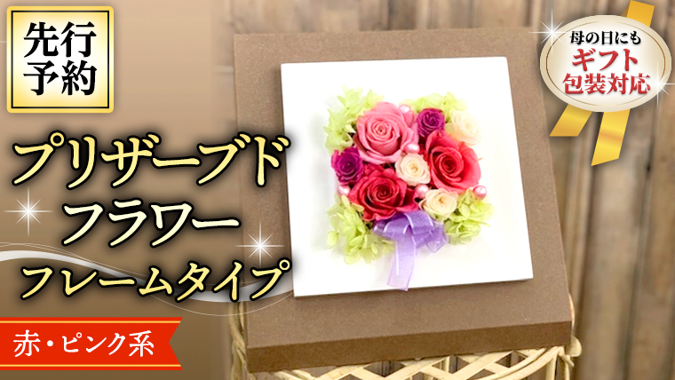 
【 母の日 】 赤 ・ ピンク 系 プリザーブド フレーム アレンジ ギフト プレゼント 花 お祝い 贈答 記念日 [CT073ci]

