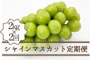 【ふるさと納税】 定期便 シャインマスカット 約2.0kg×2回 全2回 マスカット 甘い 皮ごと 人気 数量限定 期間限定 常温 贈答 ギフト 家庭用 2025年発送 8月 9月 10月 発送 社員マスカット （KSB） 【D5-101】