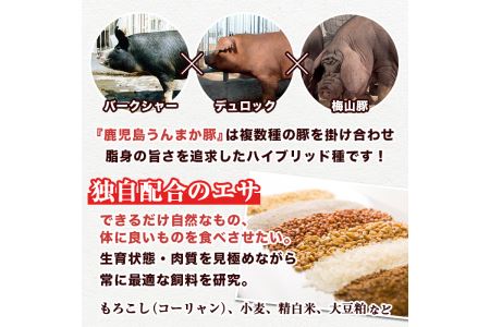 s117 《毎月数量限定》鹿児島うんまか豚ミンチ(計3kg・500g×6P) 鹿児島県産豚肉！パラパラの豚ひき肉を便利な小分けパックでお届けします【肉の寺師】