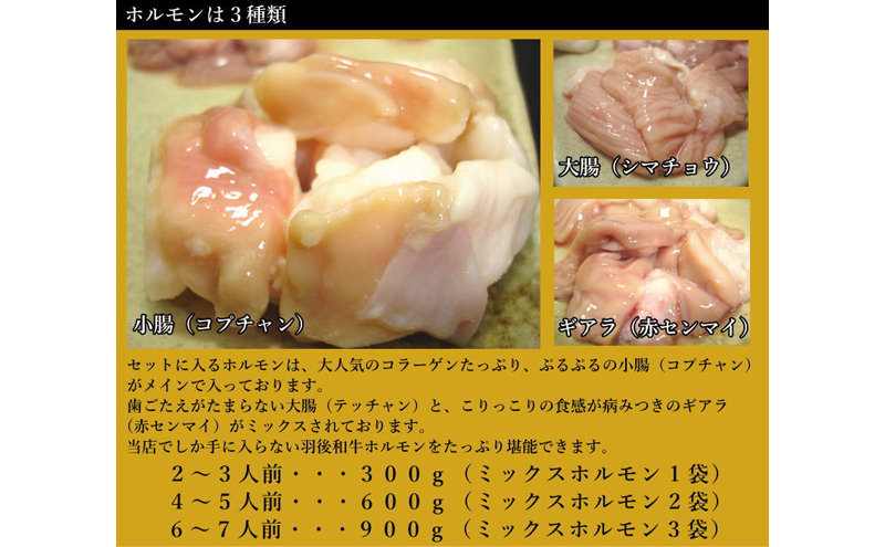 羽後和牛もつ鍋セット6～7人前 しょうゆ味