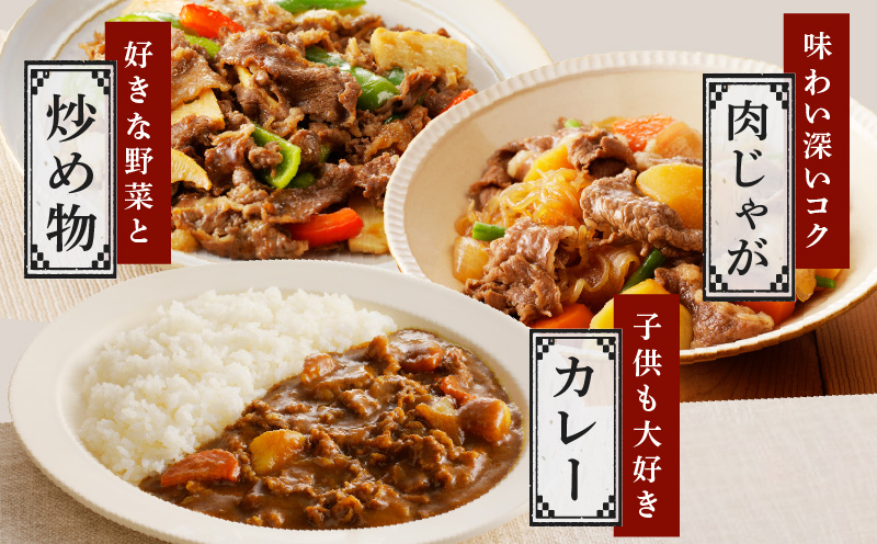【A4ランク以上】黒毛和牛 サーロイン 切り落とし 1kg【250g×4P 小分け 国産 味付き 牛肉 訳あり サイズ不揃い】 CFX0073
