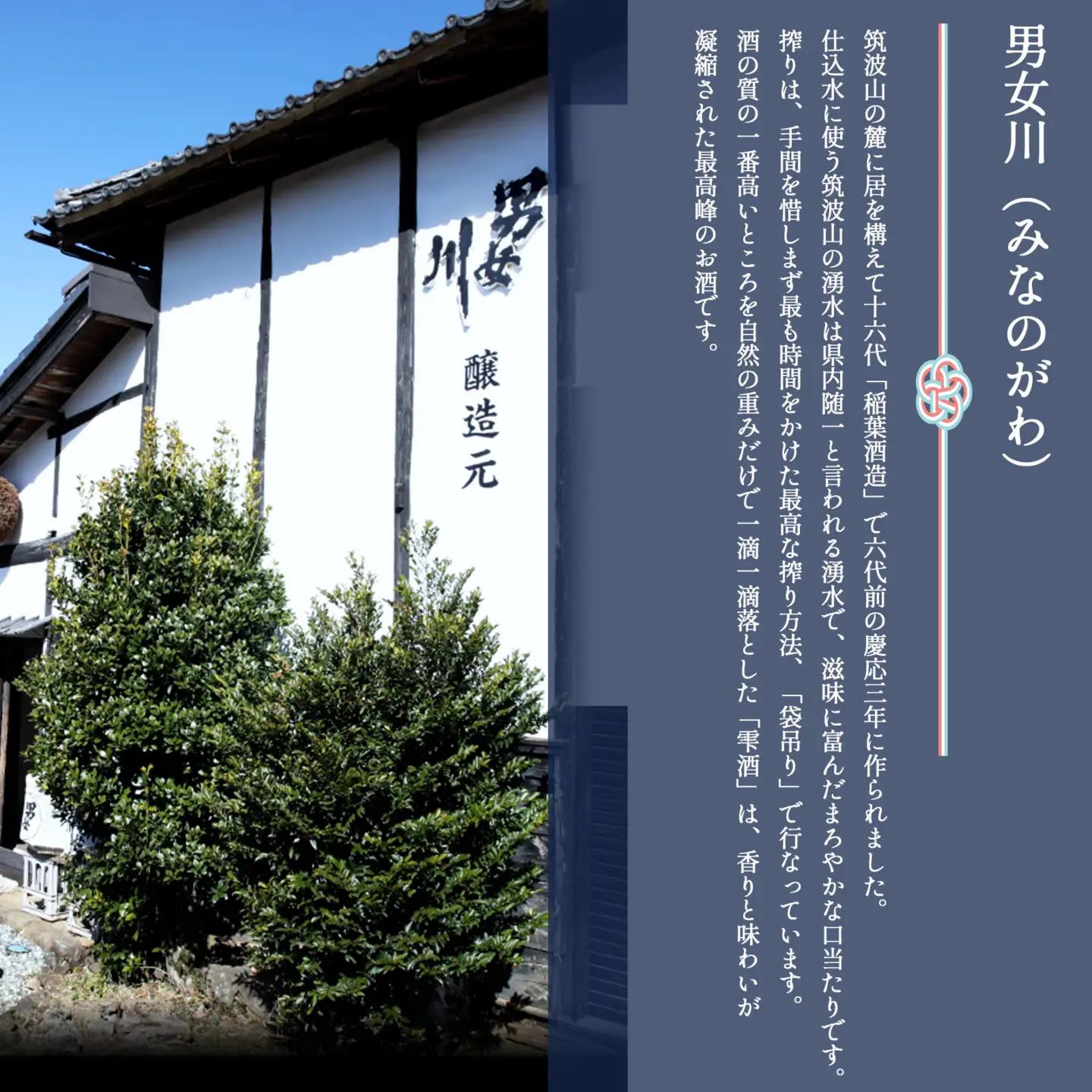 日本酒 純米酒飲み比べセット 720ml×2本 男女川＆霧筑波