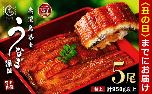 【丑の日までに配送】鹿児島県産うなぎ蒲焼 名水慈鰻 特上5尾(1尾190g以上)＜計950g以上＞ うなぎ 鰻 ウナギ 5尾 国産 九州産 蒲焼き かばやき 冷凍 うな重 ひつまぶし タレ 山椒 ランキング 人気 c5-035-us