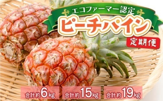
                  ＜選べる容量＞定期便 2ヶ月 絶品ピーチパイン 約3kg～9.5kg【E-SOU/Ｅ】 2026年 先行予約 西表島 初エコファーマー認定 パイン 果物 フルーツ 2回 お楽しみ　【036-a003/036-a006/036-a009】
                
