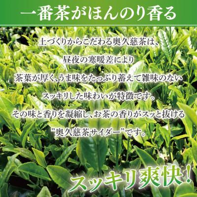 ふるさと納税 大子町 【数量限定】奥久慈りんごサイダー・奥久慈茶サイダー　200ml×各3本　計6本セット|茨城県 大子町 |  | 02