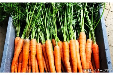 【 全9回 定期便 】 朝採り オーガニック 旬 野菜 お任せ 5品 ＋ 糸島産 大ヒット 特産 加工品 2品 のセット《糸島》【オーガニックナガミツファーム】 	[AGE031]