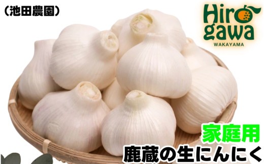 
                  生 にんにく 500g 家庭用【ikd403-c-0d5】
                