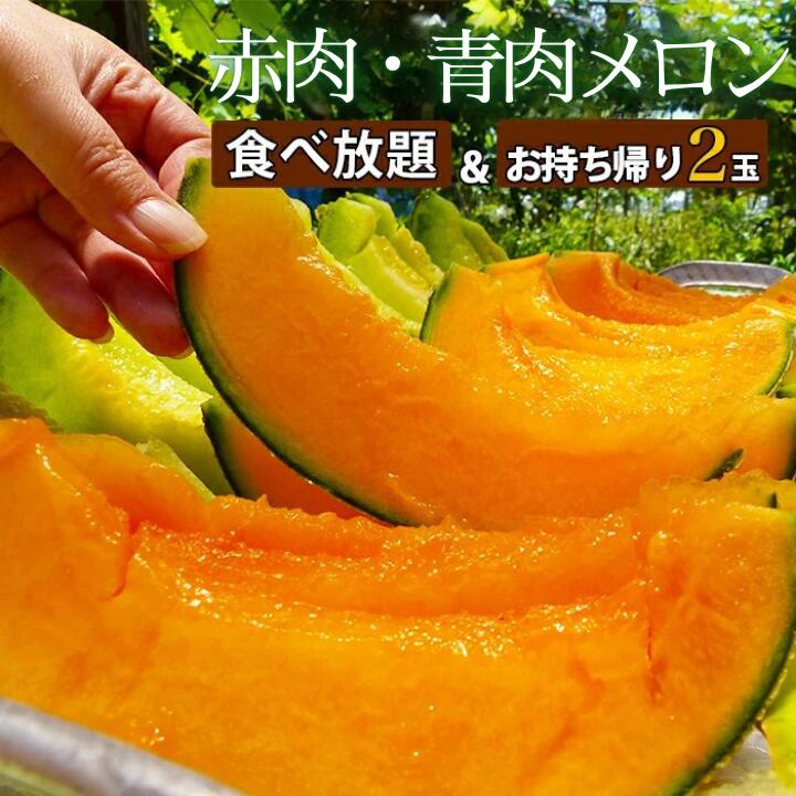 【ふるさと納税】 タカミメロン 食べ放題 ＆ お持ち帰りメロン2玉（30分）2名様分