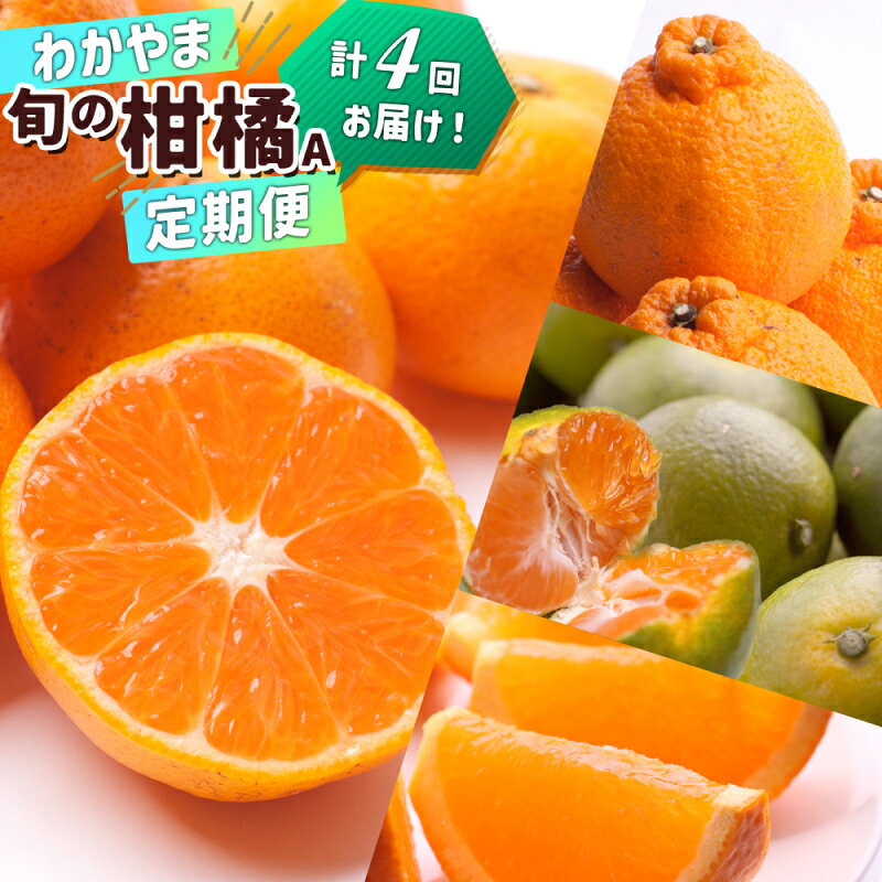 【ふるさと納税】季節の柑橘定期便A 全4回 定期便 有田みかん 不知火 せとか はっさく ポンカン 清見 オレンジ 津之輝 さつき八朔 極早生みかん 完熟みかん みかん 柑橘類 旬 フルーツ 柑橘 果実 果肉 果物 果汁 濃縮 濃厚 お取り寄せ 和歌山県 湯浅町 送料無料