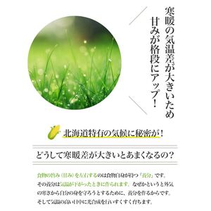 【2026年夏発送】とうもろこし ピュアホワイト 5本 L～2Lサイズ 富良野産 生で食べられる 野菜