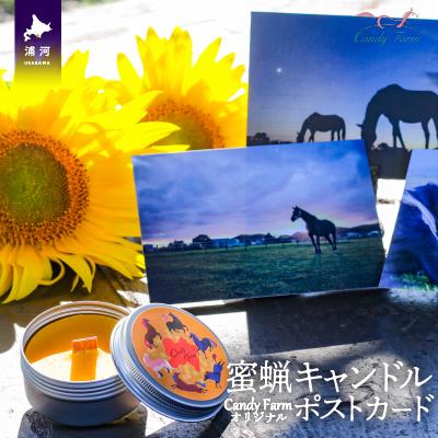 ふるさと納税 浦河町 天然蜜蝋100%手作り「キャンドル」&amp;馬たちの「ポストカード」セット[39-1122]