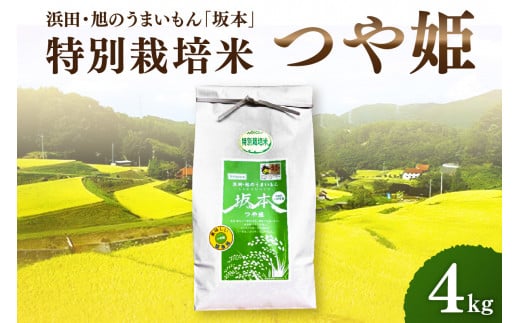 【令和６年産】浜田・旭のうまいもん「坂本」特別栽培米つや姫　4kg 【1027】