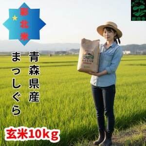 【先行予約受付】令和8年　青森県産まっしぐら　玄米10kg　彩北米【配送不可地域：離島・沖縄県】【1714452】