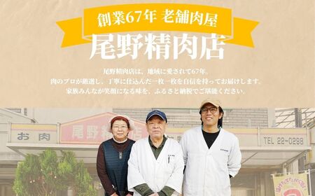 厳選国産合挽 手ごね生ハンバーグ 150g 10個セット 尾野精肉店 | 牛肉 ハンバーグ 肉 鉄板焼き