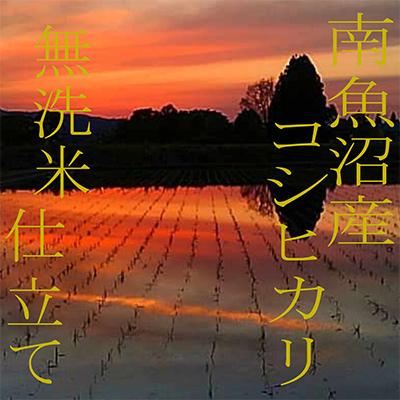 ふるさと納税 南魚沼市 【毎月定期便】《無洗米》南魚沼産コシヒカリ2kg 全12回 |  | 03