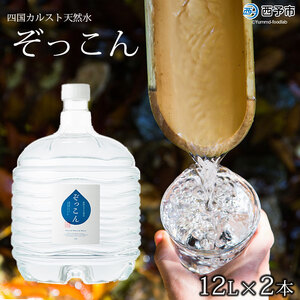 四国カルスト天然水ぞっこん 12L×2本 NZS0002