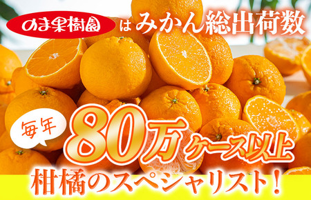 デコタンゴール （2kg） [K003680K2] 人気商品 国産 高級フルーツ 人気商品 みかん 柑橘 フルーツ 果物 乃万青果 のま果樹園 不知火 ポンカン