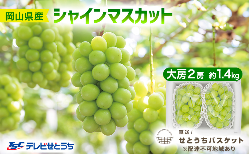 ぶどう 2025年 先行予約 シャイン マスカット 大房 2房 約1.4kg ブドウ 葡萄 岡山県産 国産 フルーツ 果物 直送！せとうちバスケット