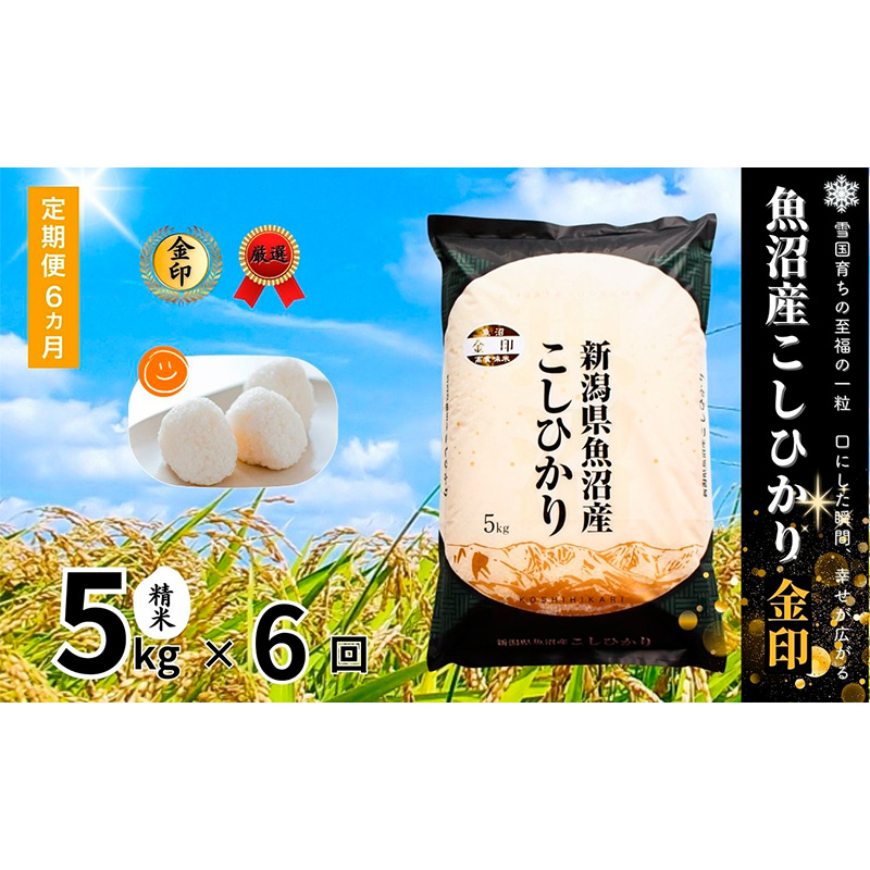 米 定期便 6ヶ月 コシヒカリ 金印 5kg 精米 白米 お米 魚沼産コシヒカリ 新潟米 新潟 十日町市 定期 6回