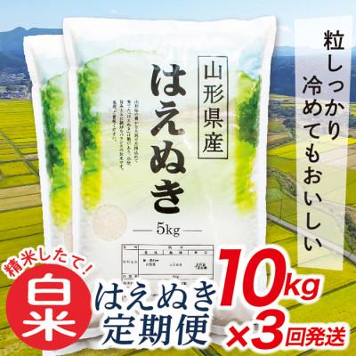ふるさと納税 最上町 【毎月定期便】買い忘れなしで美味しいはえぬき10kg(白米)が届く全3回