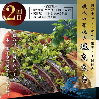 ふるさと納税 四万十市 【3回定期便】四万十自慢のカツオの塩タタキ食べ比べ! R6 |  | 02