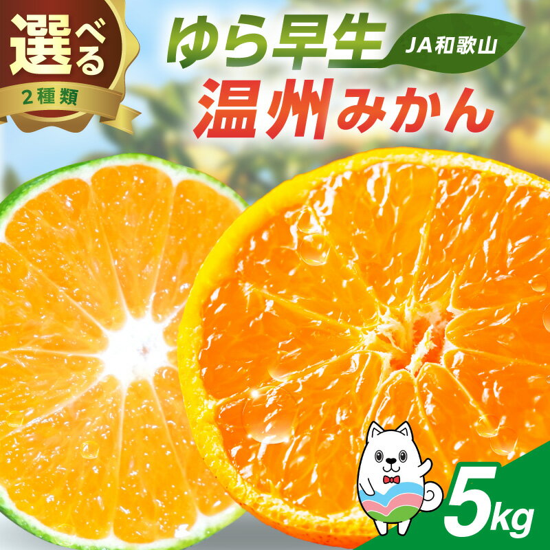 【ふるさと納税】JAわかやま 紀州のゆら早生 温州みかん（家庭用）5kg《先行予約》