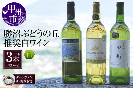 ワイン 勝沼ぶどうの丘推奨白ワイン3本+タートヴァン（KBO）D-617