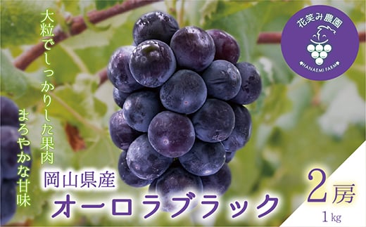 岡山　花笑み農園のブドウ『オーロラブラック』1kg(2房)　A-1【1693703】