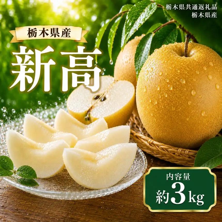 梨 新高 3kg｜梨 果物 栃木県共通返礼品 栃木県産 栃木県 那珂川町 